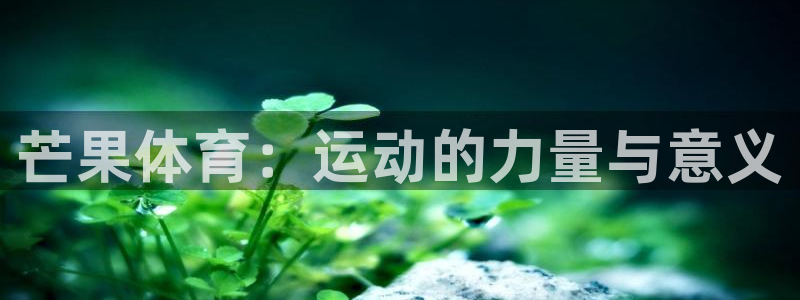 oety欧亿体育官网下载招商电话号码是多少：芒果体育