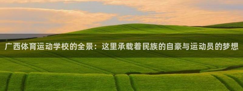 欧亿体育官方平台体育：广西体育运动学校的全景：这里承