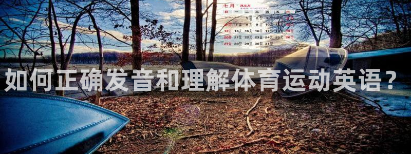 欧亿体育官方正版app娱乐是那个系列的台子：如何正确