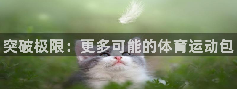 欧亿体育官方正版app五金厂：突破极限：更多可能的体育运动包
