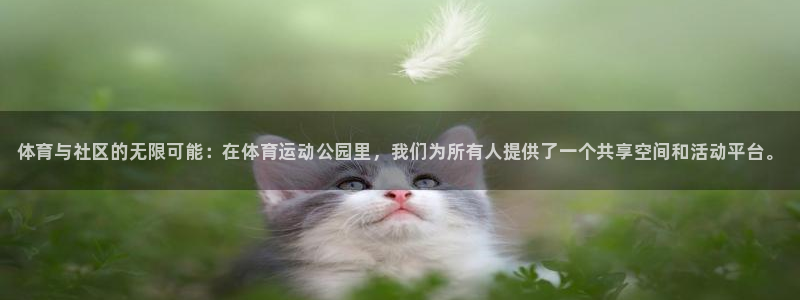 欧亿体育官方正版app娱乐代理怎么样：体育与社区的无限可能：