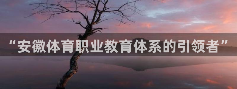 oety欧亿体育官网下载官方客服电话：“安徽体育职业教育体系