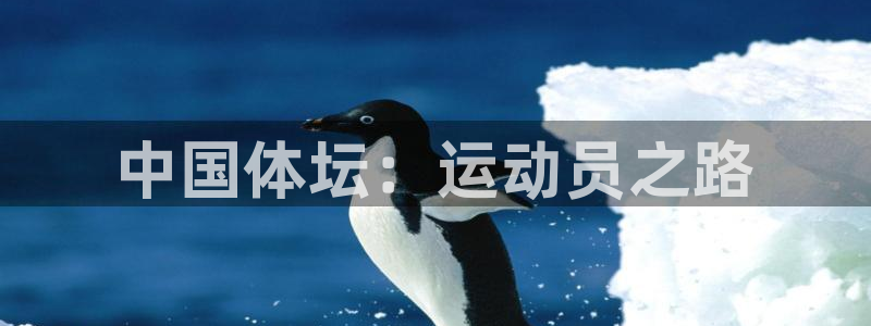 oety欧亿体育官网下载招商电话地址查询：中国体坛：运动员之