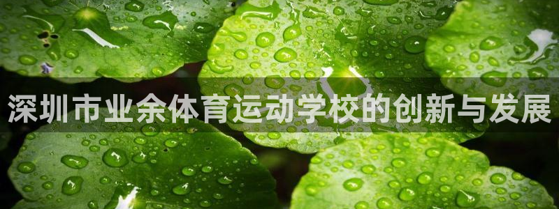 oety欧亿体育官网下载注册：深圳市业余体育运动学校
