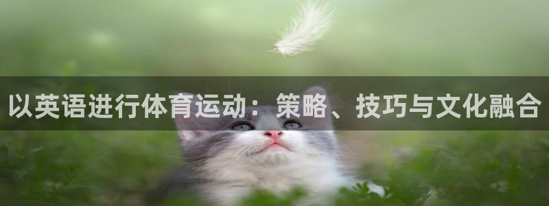 oety欧亿体育官网下载注册：以英语进行体育运动：策略、技巧
