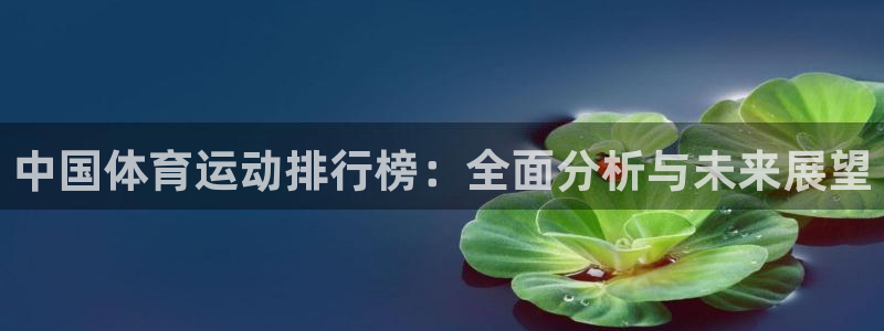oe欧亿平台注册：中国体育运动排行榜
