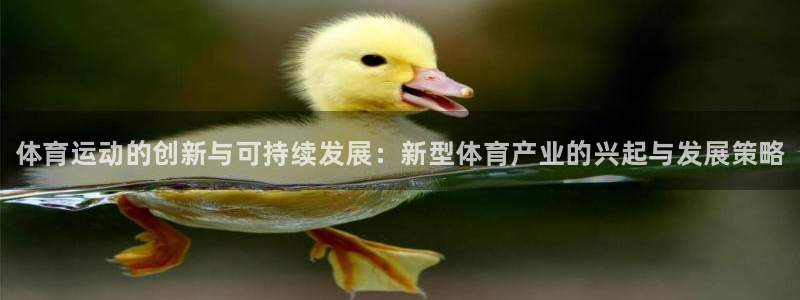 欧亿体育官方正版app娱乐网站：体育运动的创新与可持