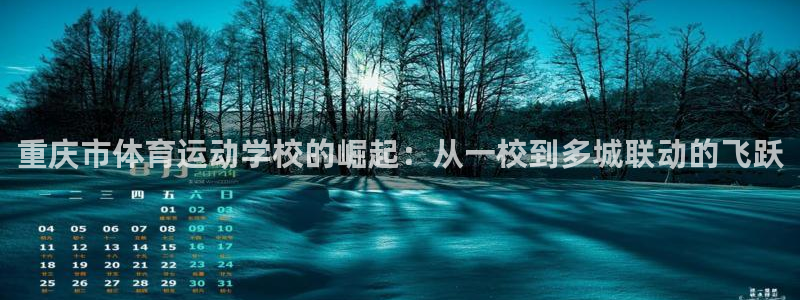 oety欧亿体育官网下载平台假的吗是真的吗:重庆市体育运动学